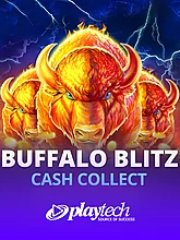 Buffalo Blitz: Cash Collect